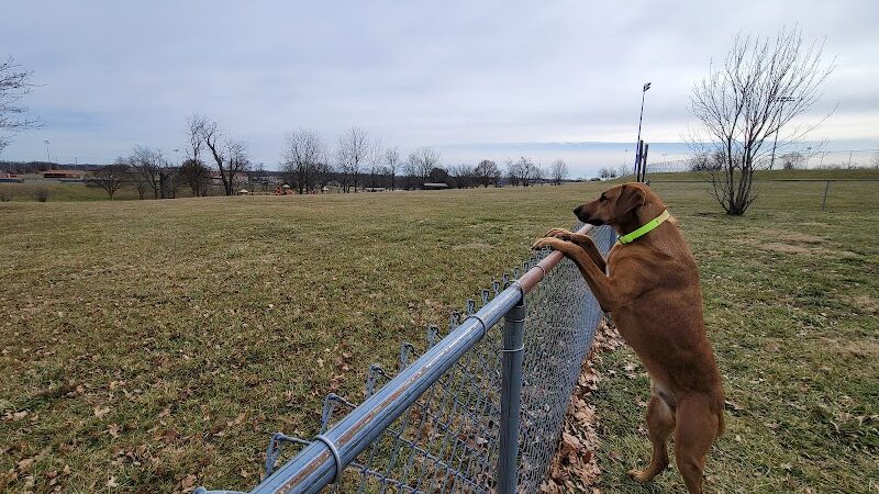 Scott County Dog Park - Georgetown, KY
