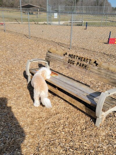 Northeast Dog Park - Gibsonville, NC