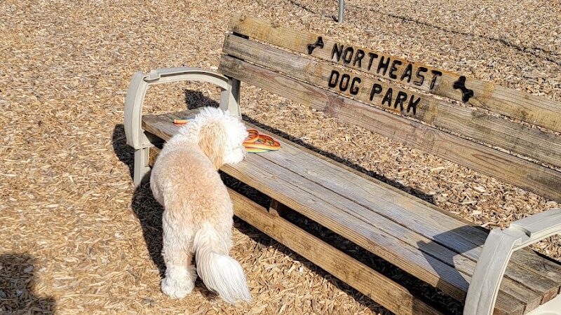 Northeast Dog Park - Gibsonville, NC