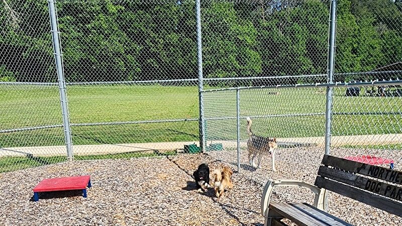 Northeast Dog Park - Gibsonville, NC