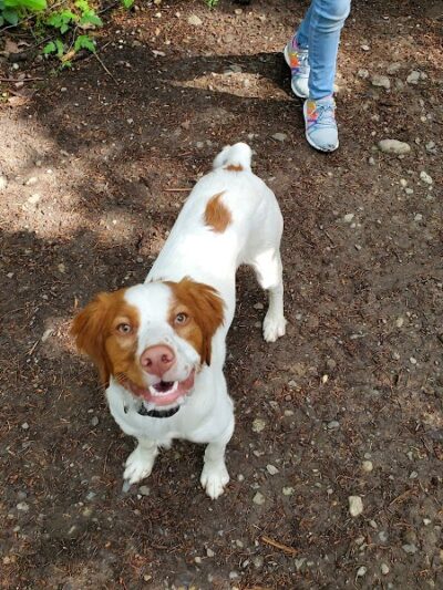 McCormick Dog Park - Gig Harbor, WA