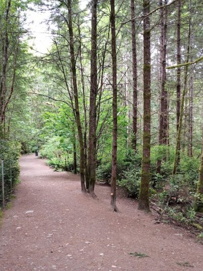 Rotary Bark Park - Gig Harbor, WA