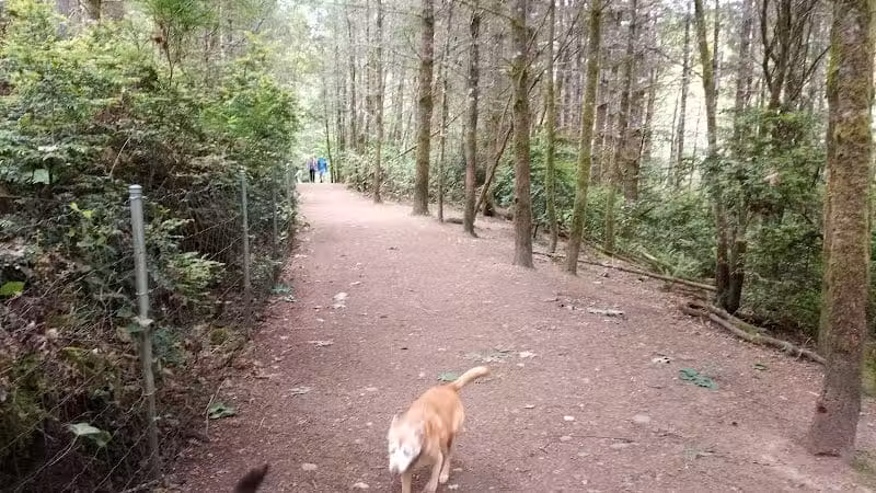 Rotary Bark Park - Gig Harbor, WA