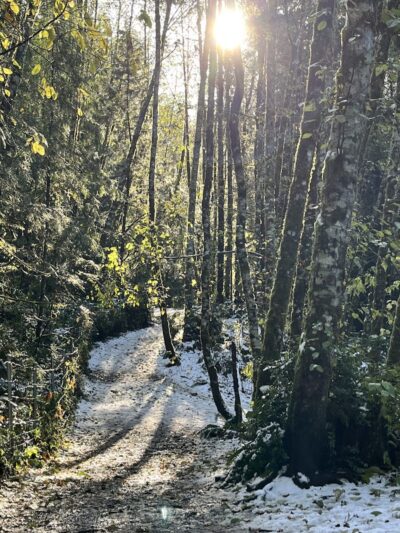 Rotary Bark Park - Gig Harbor, WA