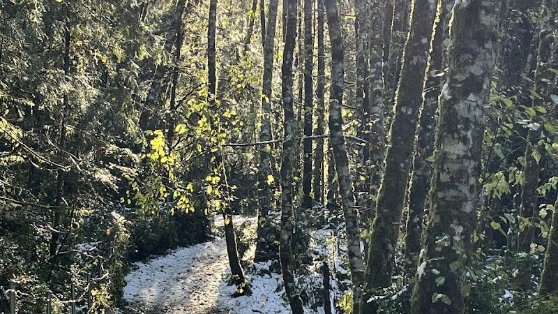 Rotary Bark Park - Gig Harbor, WA