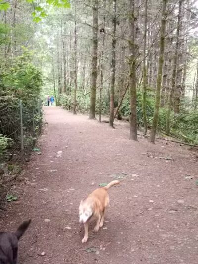 Rotary Bark Park - Gig Harbor, WA