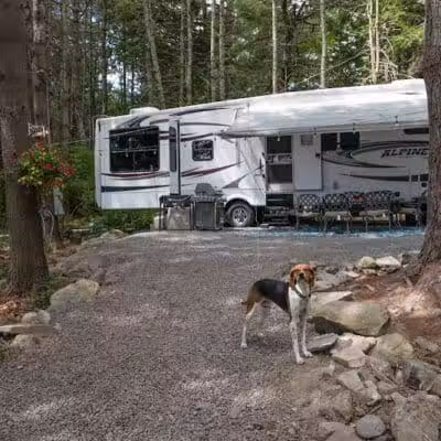 Country Roads Campground - Gilboa, NY
