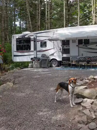 Country Roads Campground - Gilboa, NY