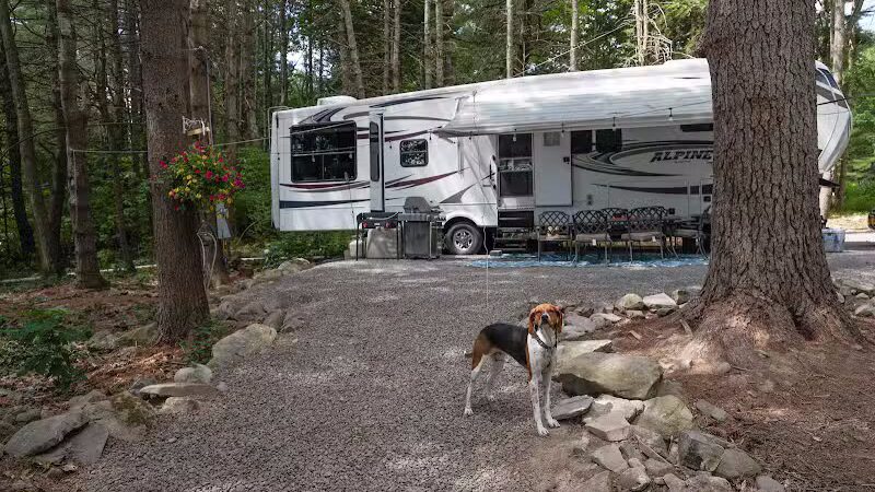 Country Roads Campground - Gilboa, NY