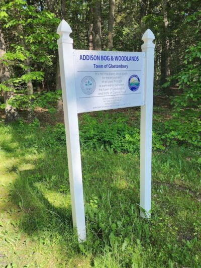 Addison Bog & Woodlands - Glastonbury, CT