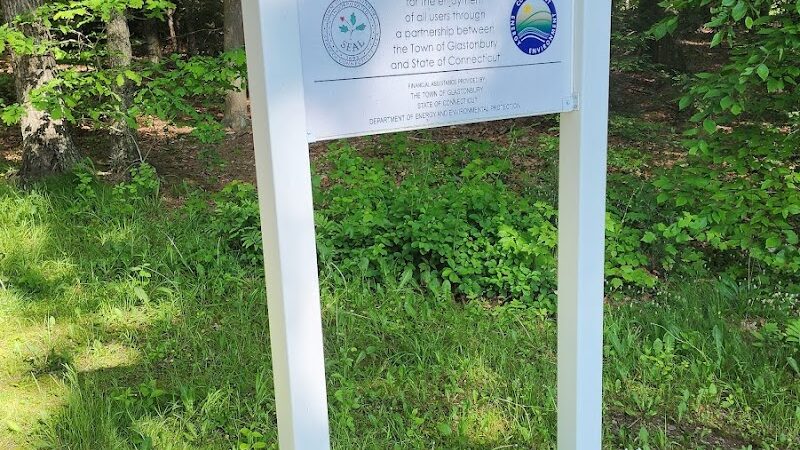 Addison Bog & Woodlands - Glastonbury, CT