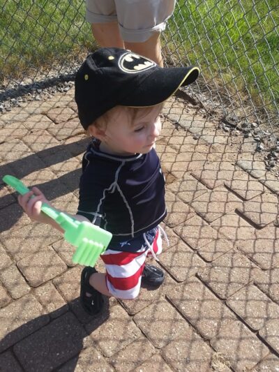 Addison Bog & Woodlands - Glastonbury, CT