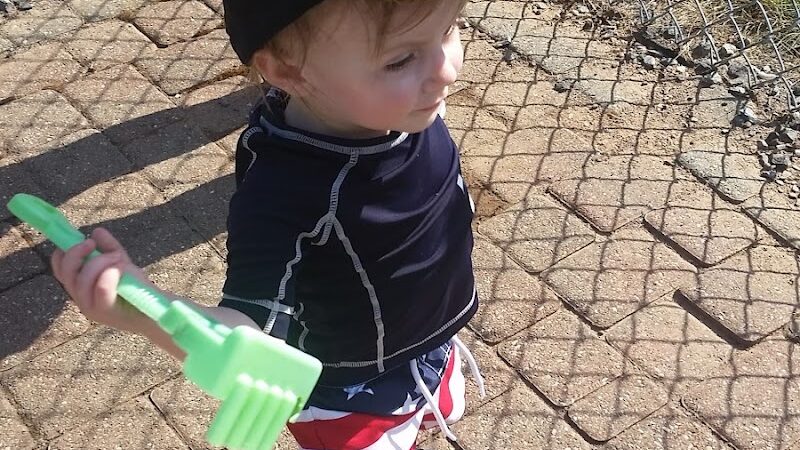 Addison Bog & Woodlands - Glastonbury, CT