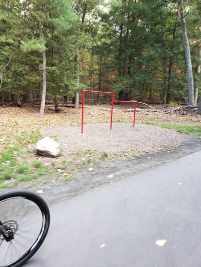 Addison Bog & Woodlands - Glastonbury, CT