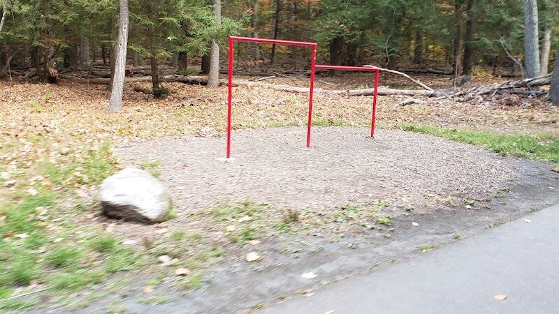 Addison Bog & Woodlands - Glastonbury, CT