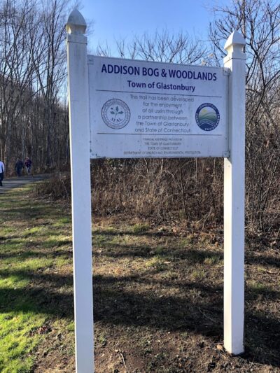 Addison Bog & Woodlands - Glastonbury, CT