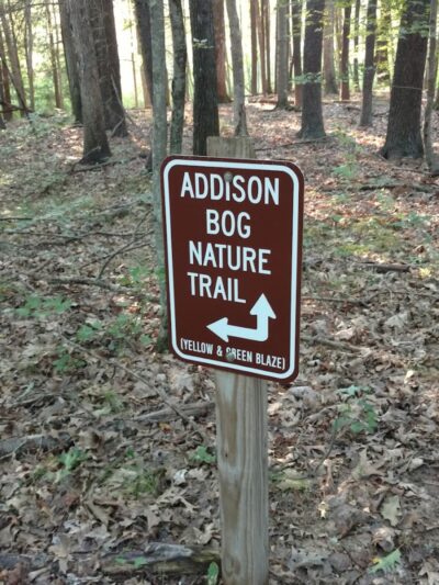 Addison Bog & Woodlands - Glastonbury, CT