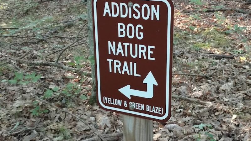 Addison Bog & Woodlands - Glastonbury, CT