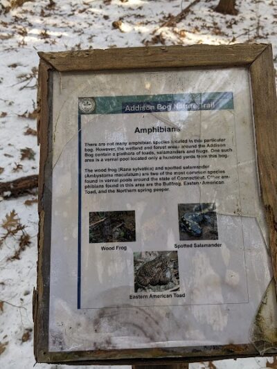 Glastonbury Multi-Use Trail - Glastonbury, CT