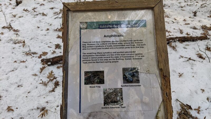 Glastonbury Multi-Use Trail - Glastonbury, CT