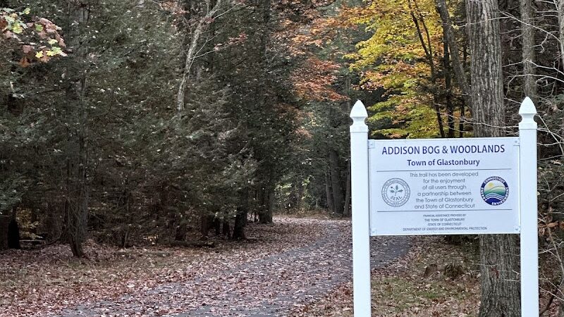 Glastonbury Multi-Use Trail - Glastonbury, CT