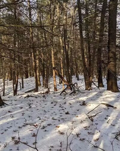 Glastonbury Multi-Use Trail - Glastonbury, CT