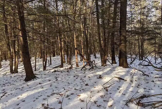 Glastonbury Multi-Use Trail - Glastonbury, CT