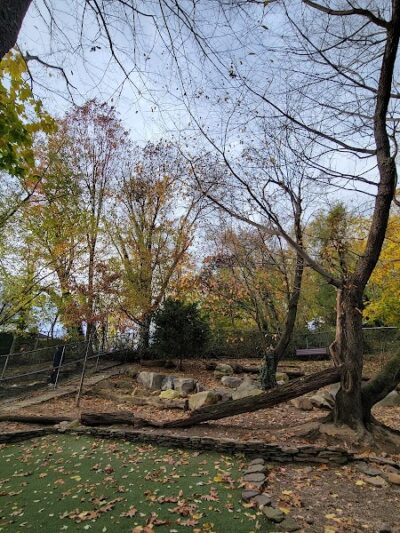 Glen Oaks Village Enchanted Forest Dog Park - Private - Glen Oaks, NY