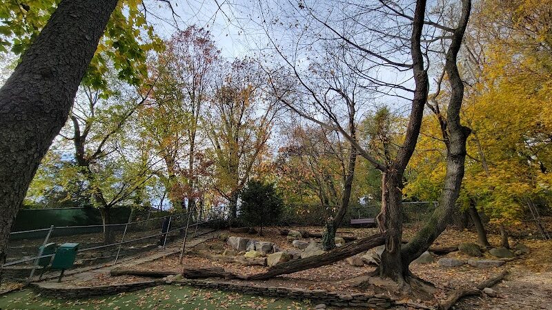 Glen Oaks Village Enchanted Forest Dog Park - Private - Glen Oaks, NY