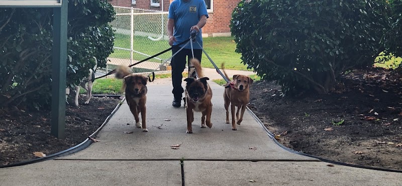 Glen Oaks Village Enchanted Forest Dog Park - Private - Glen Oaks, NY