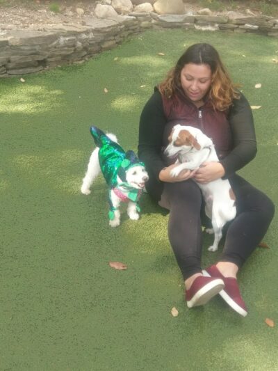 Glen Oaks Village Enchanted Forest Dog Park - Private - Glen Oaks, NY