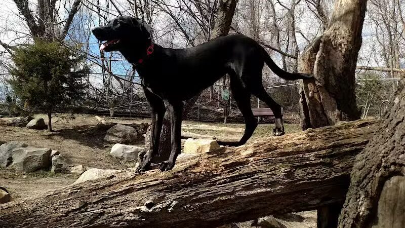 Glen Oaks Village Enchanted Forest Dog Park - Private - Glen Oaks, NY