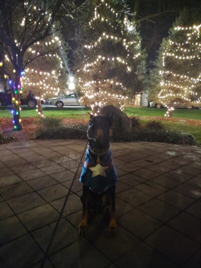 Tribute Triangle Park - Glen Oaks, NY