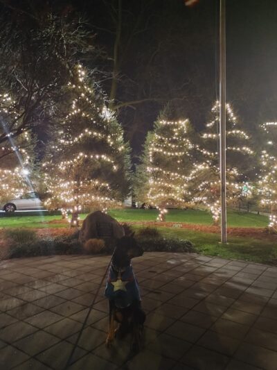 Tribute Triangle Park - Glen Oaks, NY