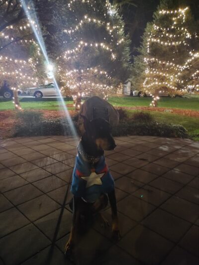 Tribute Triangle Park - Glen Oaks, NY