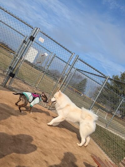 Glen Rock Dog Park - Glen Rock, PA