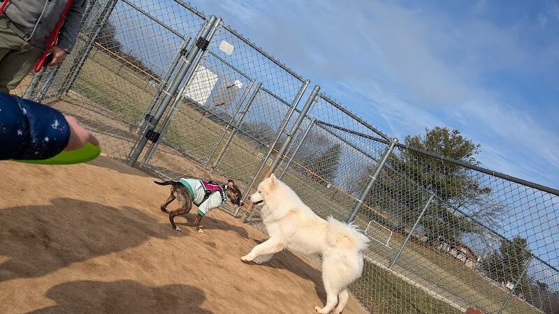 Glen Rock Dog Park - Glen Rock, PA
