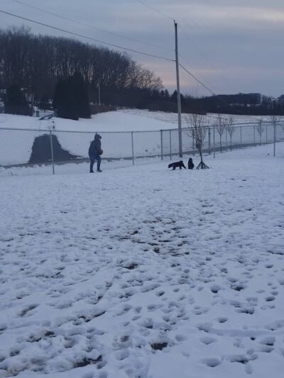 Glen Rock Dog Park - Glen Rock, PA