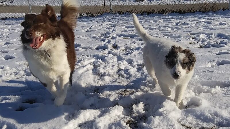 Glen Rock Dog Park - Glen Rock, PA