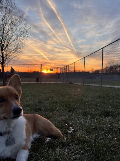 Glen Rock Dog Park - Glen Rock, PA