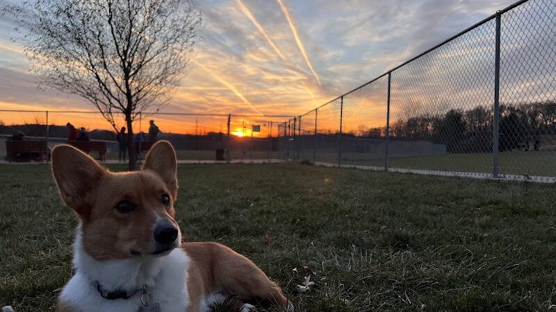 Glen Rock Dog Park - Glen Rock, PA