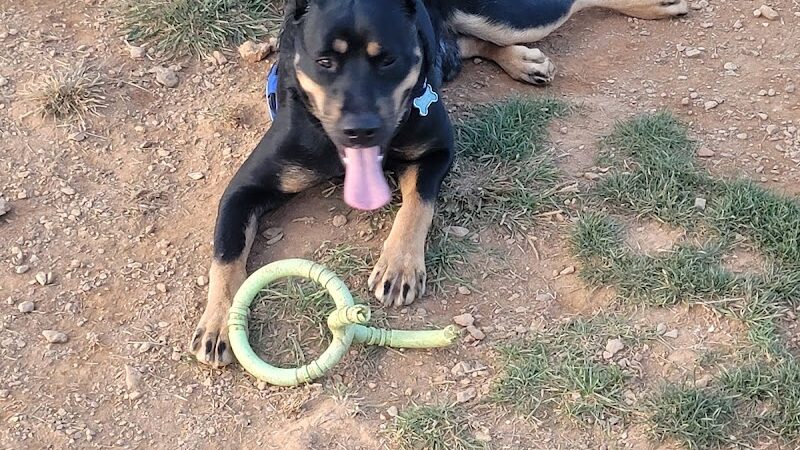 Glen Rock Dog Park - Glen Rock, PA