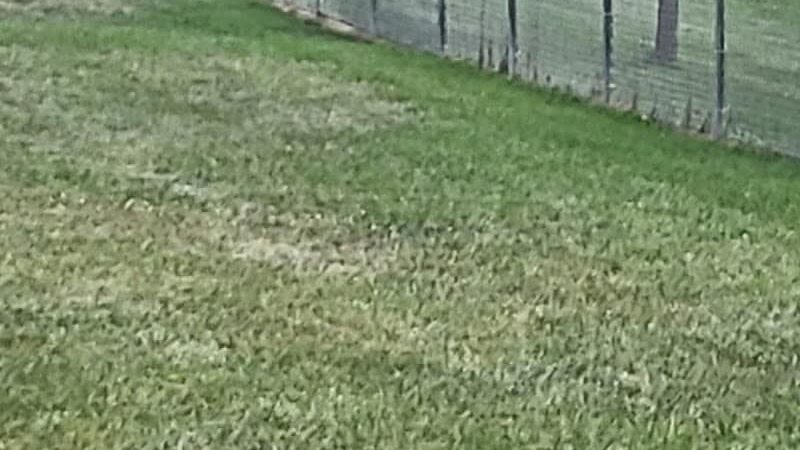 Glen Rock Dog Park - Glen Rock, PA