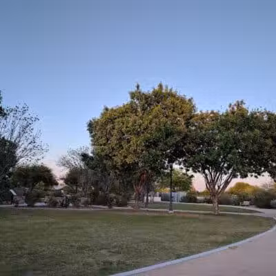 Elsie McCarthy Sensory Garden - Glendale, AZ