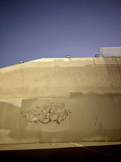 Elsie McCarthy Sensory Garden - Glendale, AZ