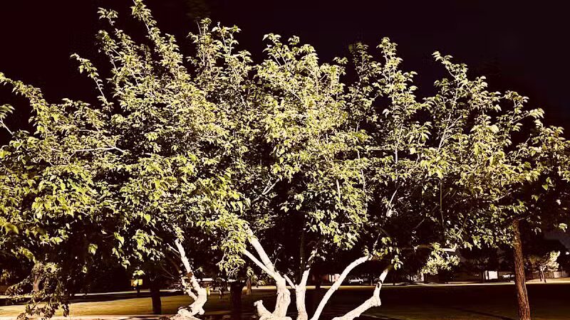 Mondo Park - Glendale, AZ