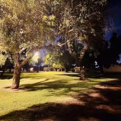 Mondo Park - Glendale, AZ