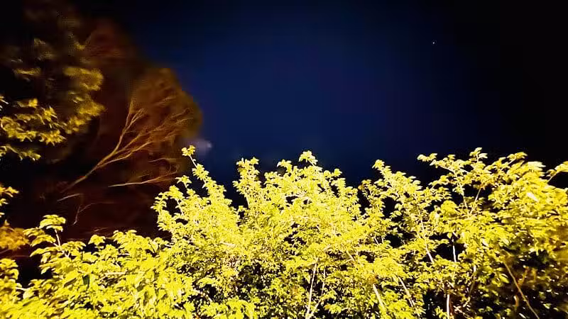 Mondo Park - Glendale, AZ