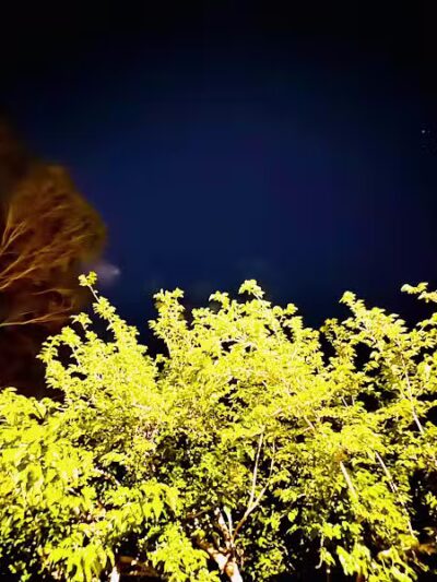 Mondo Park - Glendale, AZ