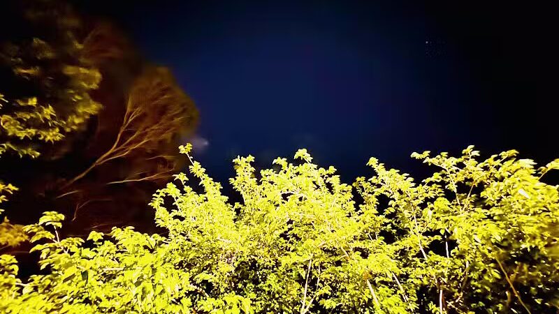 Mondo Park - Glendale, AZ